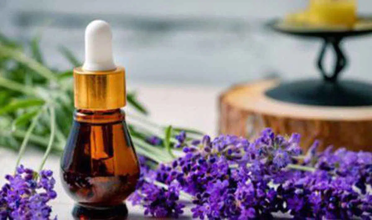 4 Manfaat Minyak Lavender untuk Cerahkan Kulit Saat Puasa Ramadan