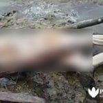 Warga Temukan Mayat Terdampar di Pantura Sampang