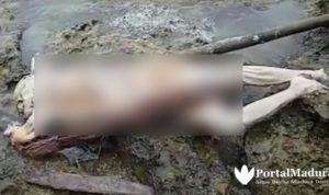 Warga Temukan Mayat Terdampar di Pantura Sampang