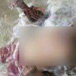 Terungkap Identitas Mayat Mengapung di Pantai Dapenda, Sumenep
