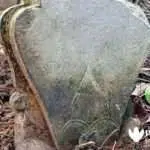 Beragam Motif, Batu Nisan Bunga Teratai & Tahun Arab Pegon Warnai Penemuan Makam Kuno di Batang-batang Sumenep