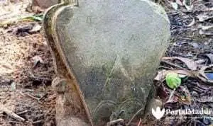 Beragam Motif, Batu Nisan Bunga Teratai & Tahun Arab Pegon Warnai Penemuan Makam Kuno di Batang-batang Sumenep
