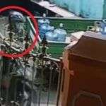 Viral Video Pencuri Gasak LPG 3 Kg Terekam CCTV Warga Sumenep