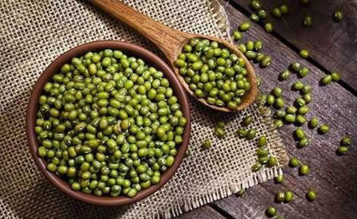 4 Khasiat Menakjubkan Kacang Hijau Bagi Perawatan Kecantikan