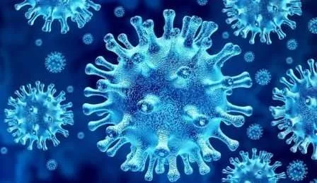Tracing Keluarga Pasien Covid-19, Ada Yang Menolak Rapid Test