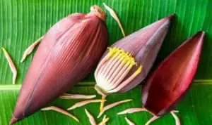 Manfaat Tersembunyi Dari Jantung Pisang, Berikut Ulasannya