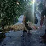 Muntah Darah, Karyawan PT Telkom Sumenep Wafat Mendadak di Jalan Raya Tanjung