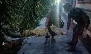 Muntah Darah, Karyawan PT Telkom Sumenep Wafat Mendadak di Jalan Raya Tanjung