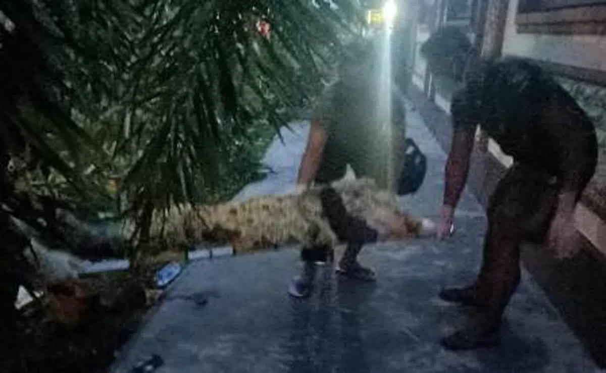Muntah Darah, Karyawan PT Telkom Sumenep Wafat Mendadak di Jalan Raya Tanjung
