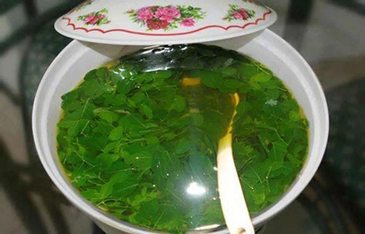Resep Nasi Jagung Kuah Kelor