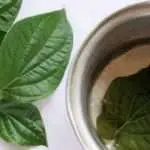 Racik Daun Sirih Jadi Hand Sanitizer Ampuh Cegah Corona