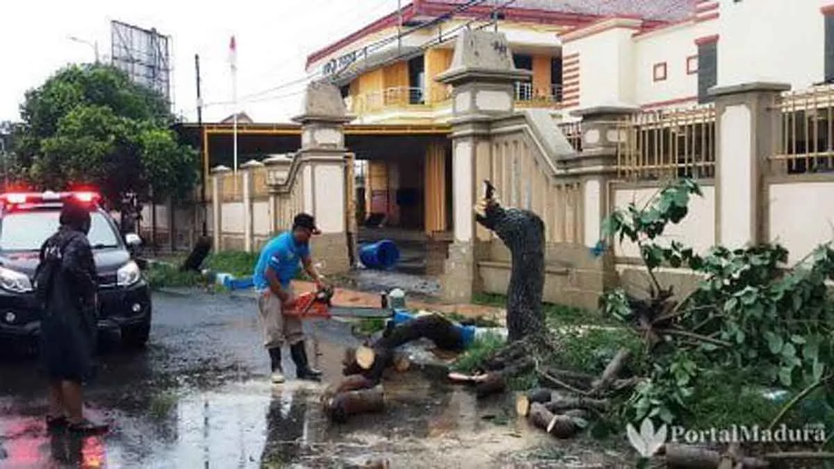 Hujan Deras dan Angin Kencang, Pohon Tumbang di Bangkalan
