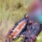 Satu Pelaku Pembunuhan di Sokobanah Ditangkap Polisi