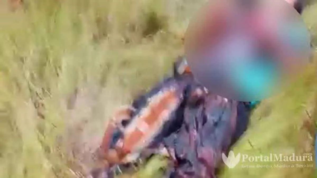 Satu Pelaku Pembunuhan di Sokobanah Ditangkap Polisi