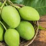 5 Manfaat Mangga Muda Untuk Ibu Hamil