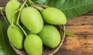5 Manfaat Mangga Muda Untuk Ibu Hamil