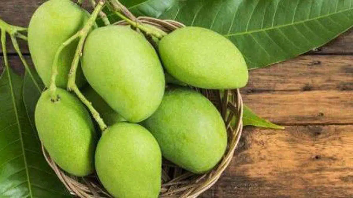 5 Manfaat Mangga Muda Untuk Ibu Hamil