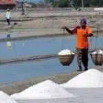 12 Proposal Poktan Garam Pamekasan Ditolak Pemprov Jatim
