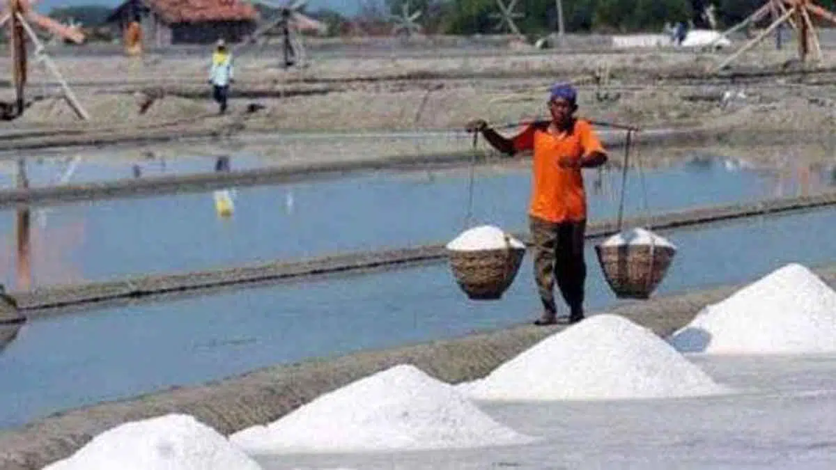 12 Proposal Poktan Garam Pamekasan Ditolak Pemprov Jatim
