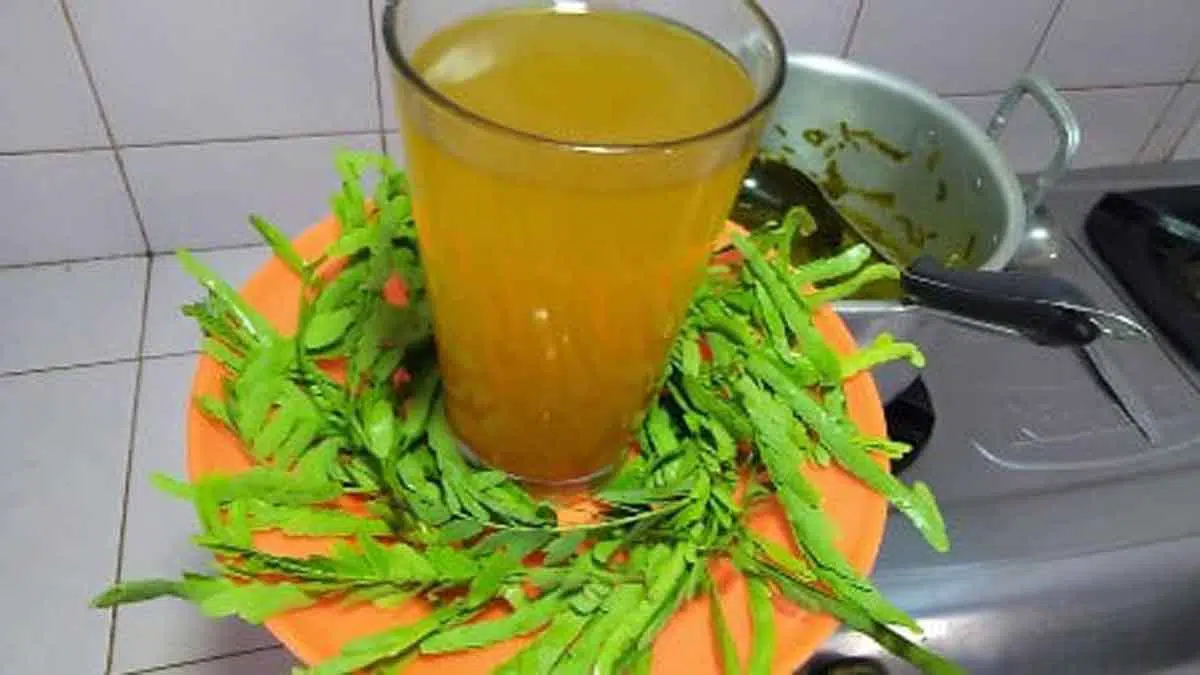 Minuman Herbal, Rasakan Manfaat Minum Sinom