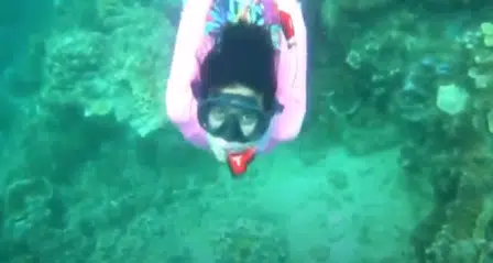 Kerusakan Terumbu Karang Ancam Keindahan Laut Pulau Kangean Sumenep - Portalmadura.com Kerusakan Terumbu Karang Ancam Keindahan Laut Pulau Kangean Sumenep