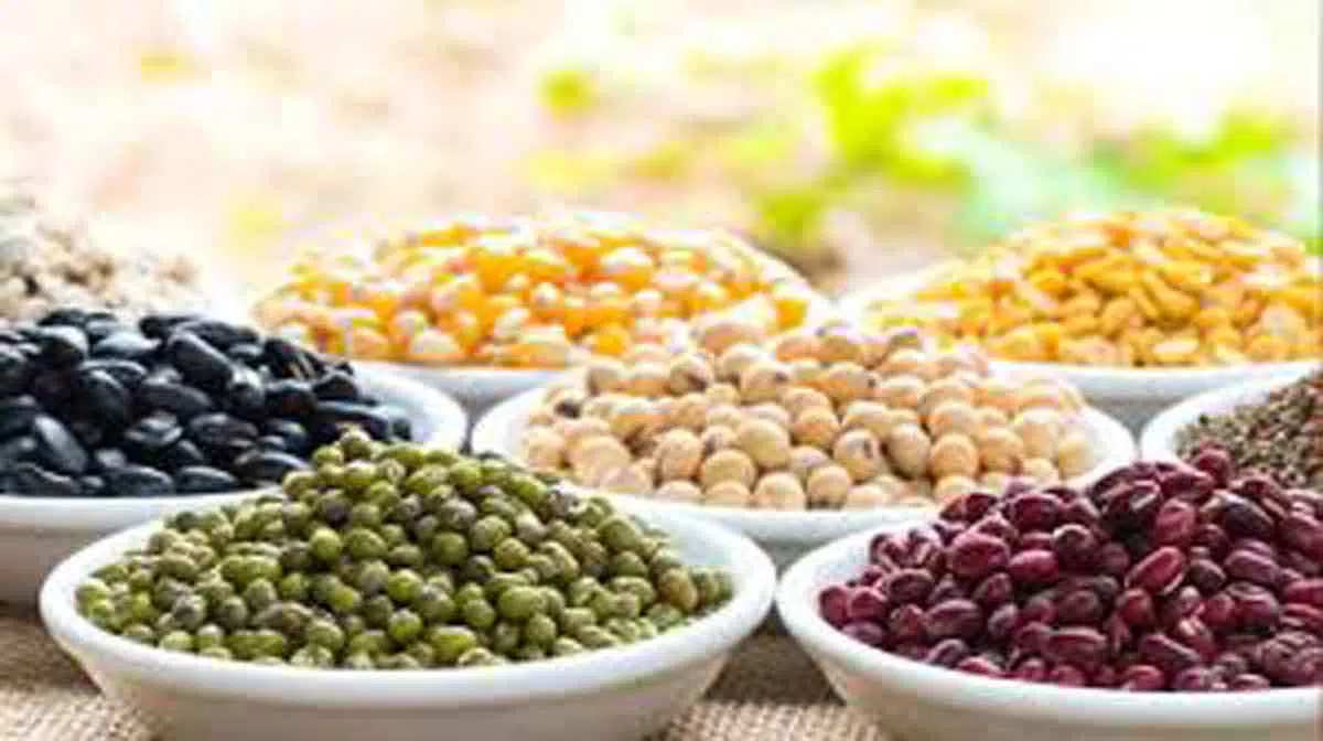 8 Jenis Kacang Ini Bermanfaat untuk Kesehatan Anda