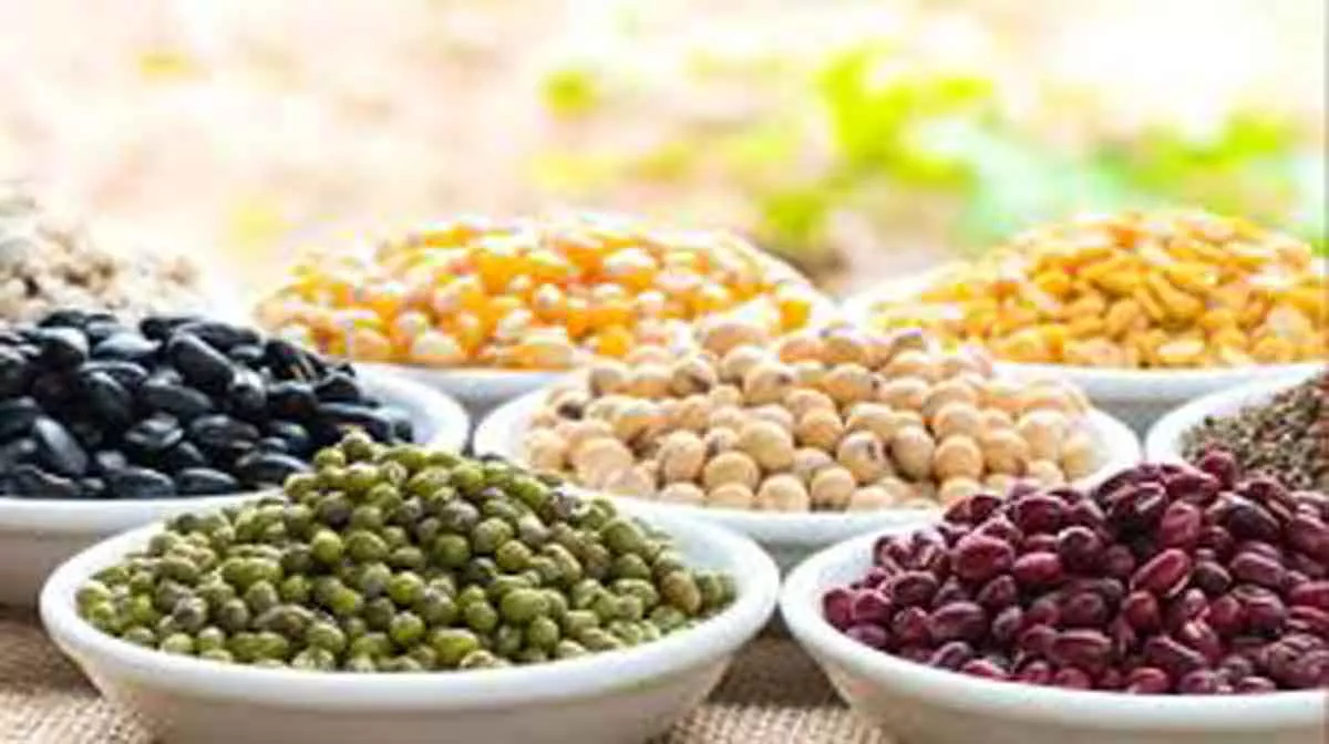 8 Jenis Kacang Ini Bermanfaat untuk Kesehatan Anda