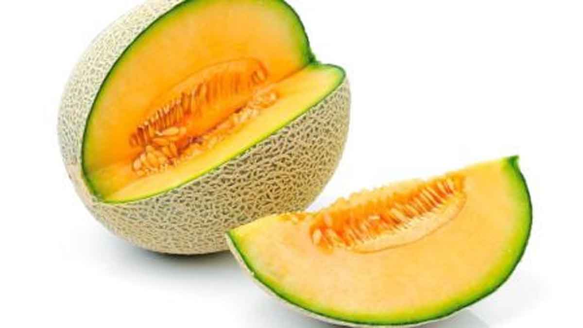 Manfaat Buah Melon Untuk Ibu Hamil