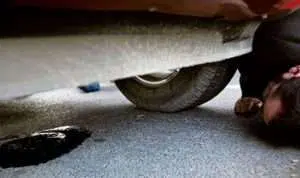 Waspadai 4 Bahaya Jika Oli Mesin Bocor