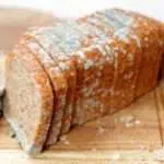 Lakukan 5 Tips Ini Agar Roti Tidak Mudah Berjamur