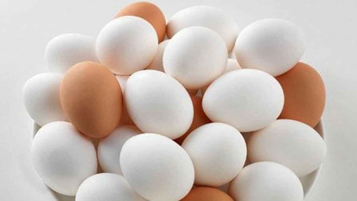 Cara Menyimpan Telur dengan Baik dan Benar