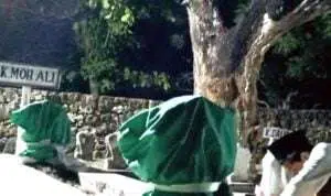 Kera Bisa Ngaji dari Karomah Kiai Ali Barambang, Begini Hasil Penelitian Monyet Bisa Bicara