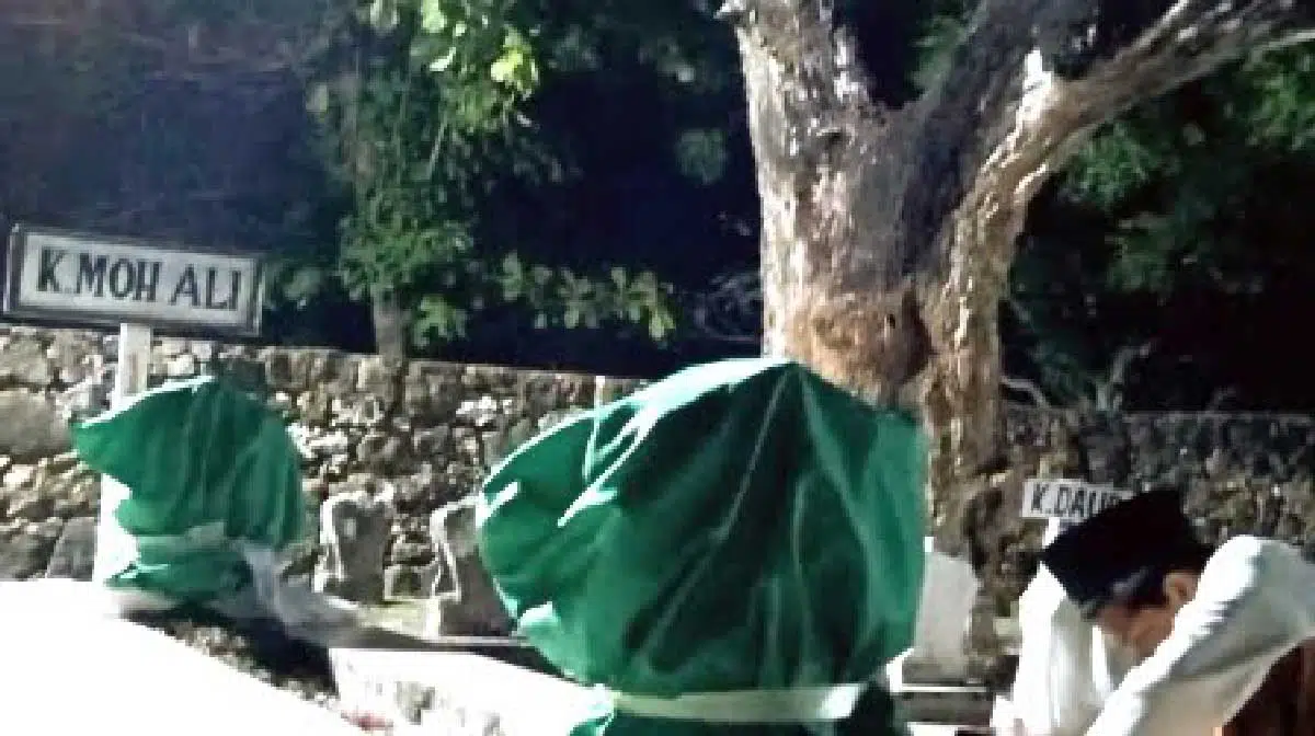 Kera Bisa Ngaji dari Karomah Kiai Ali Barambang, Begini Hasil Penelitian Monyet Bisa Bicara