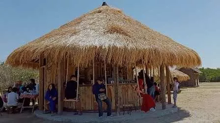 Wisata Pantai Ekasoghi Terapkan Protokol Kesehatan, Begini Keunikannya - Portalmadura.com Gazebo beratap ilalang di wisata pantai eKasoghi @portalmadura.com