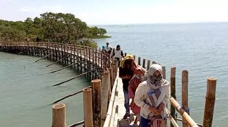 Wisata Pantai Ekasoghi Terapkan Protokol Kesehatan, Begini Keunikannya - Portalmadura.com Lintasan Jogging track dikelilingi pohon mangrove @portalmadura.com