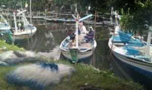 Aktivis Prihatin Kerusakan Lingkungan Sungai dan Pesisir