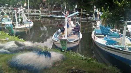 Aktivis Prihatin Kerusakan Lingkungan Sungai dan Pesisir