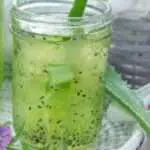 Resep Es Lidah Buaya Enak dan Segar