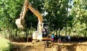 Revitalisasi 200 Hektar Lahan Pertanian, Pulau Kangean Menuju Lumbung Pangan Mandiri