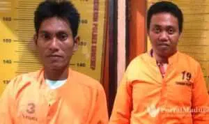 Maling Sapi, Warga Gapura dan Batang-Batang Ditangkap di Batuputih