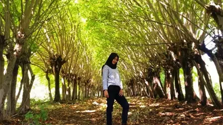 Hanya di Bulan Juli, Indahnya Sensasi Romantis Musim Gugur di Sumenep