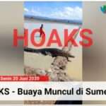 Hoaks, Buaya Mucul di Lahan Pegaraman Sumenep