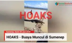 Hoaks, Buaya Mucul di Lahan Pagaraman Sumenep