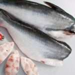 Manfaat Ikan Patin Kaya Kandungan Nutrisi untuk Kesehatan Tubuh