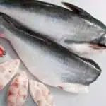 Manfaat Ikan Patin Kaya Kandungan Nutrisi untuk Kesehatan Tubuh