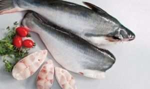 Manfaat Ikan Patin Kaya Kandungan Nutrisi untuk Kesehatan Tubuh