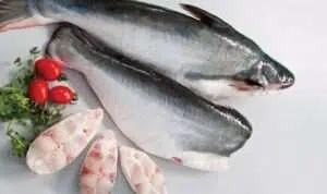 Manfaat Ikan Patin Kaya Kandungan Nutrisi untuk Kesehatan Tubuh