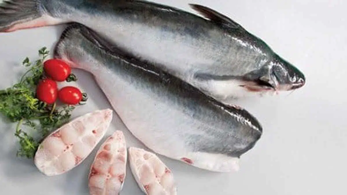 Manfaat Ikan Patin Kaya Kandungan Nutrisi untuk Kesehatan Tubuh