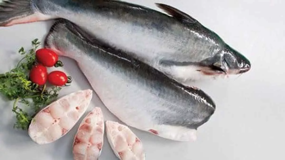 Manfaat Ikan Patin Kaya Kandungan Nutrisi untuk Kesehatan Tubuh