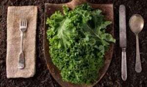5 Manfaat Sayur Kale yang Baik untuk Kesehatan Tubuh